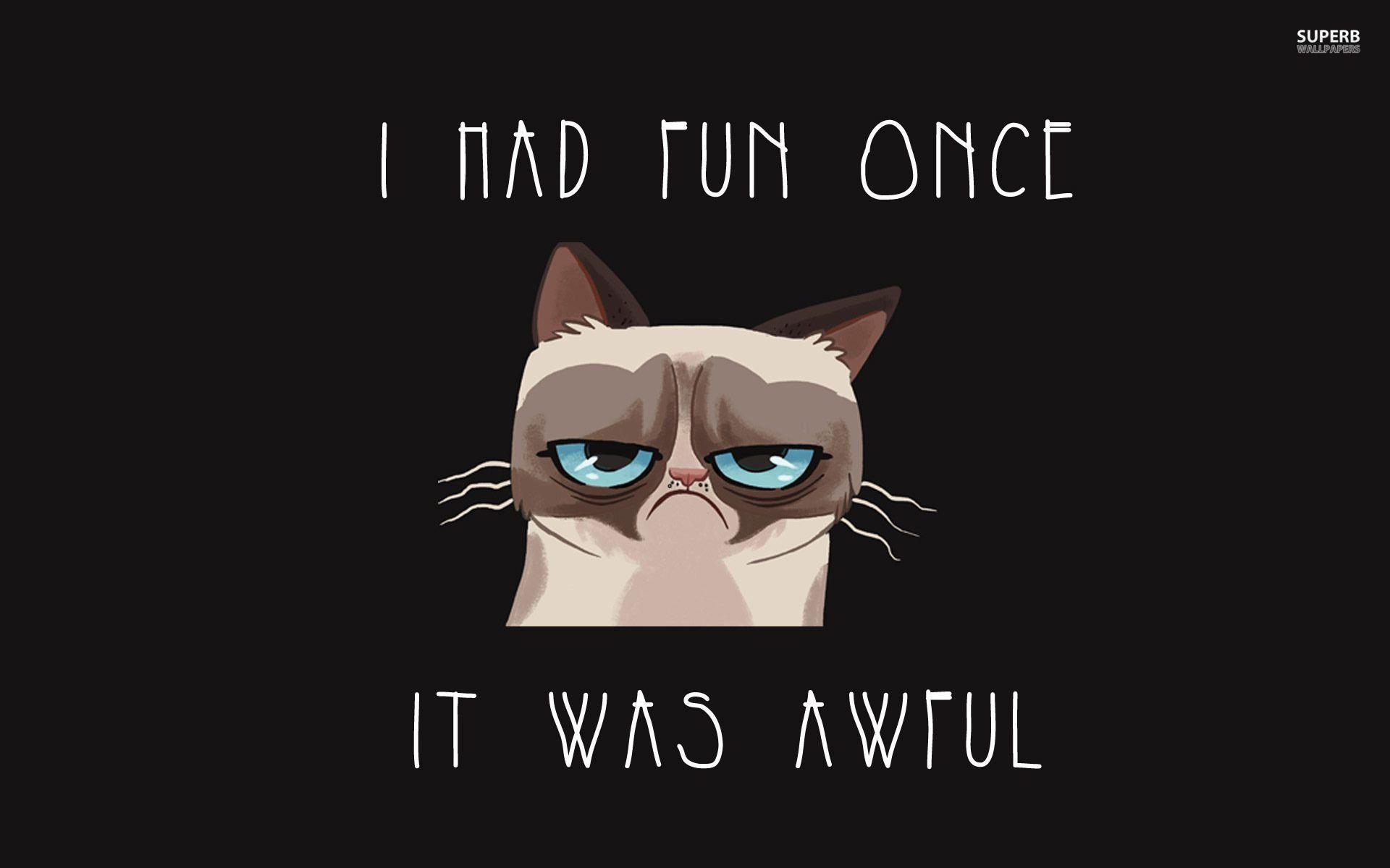 1920x1200 Cat Meme Wallpaper
