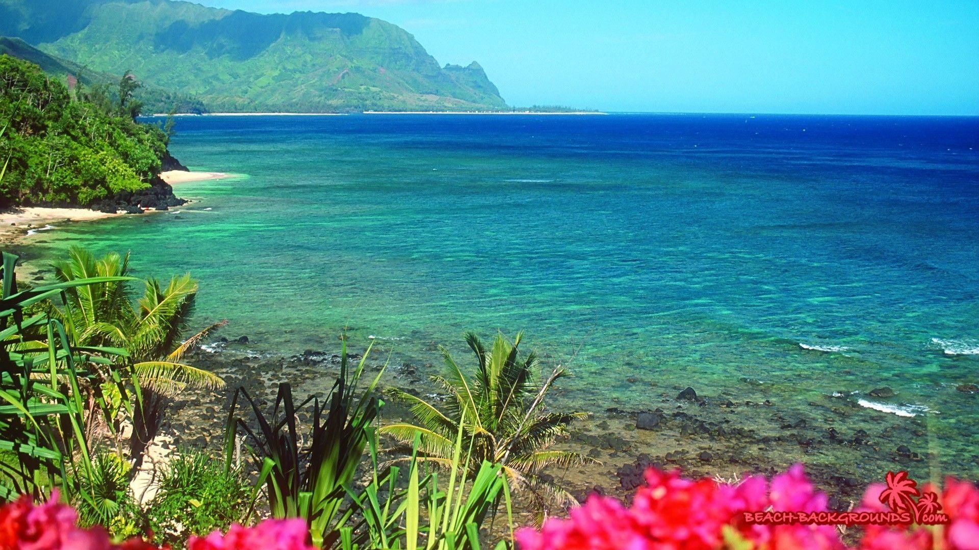 1920x1080 Wp Content Uploads 2017 04 Beach Beaches Hawaii