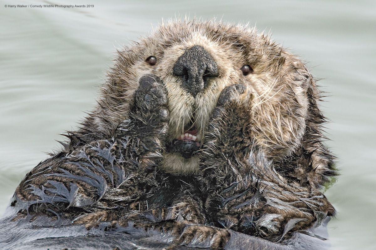 1200x800 Best of 2019: Photographs From Around the World