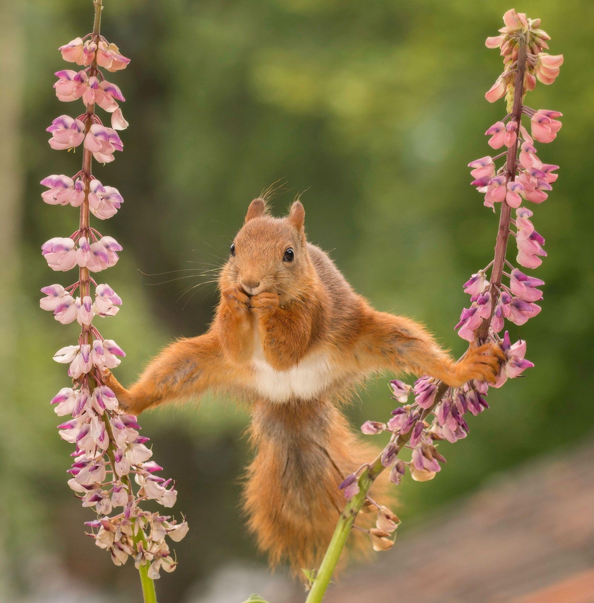 2048x2079 The Comedy Wildlife Photography Awards Picks Their 41 Top Image of 2018