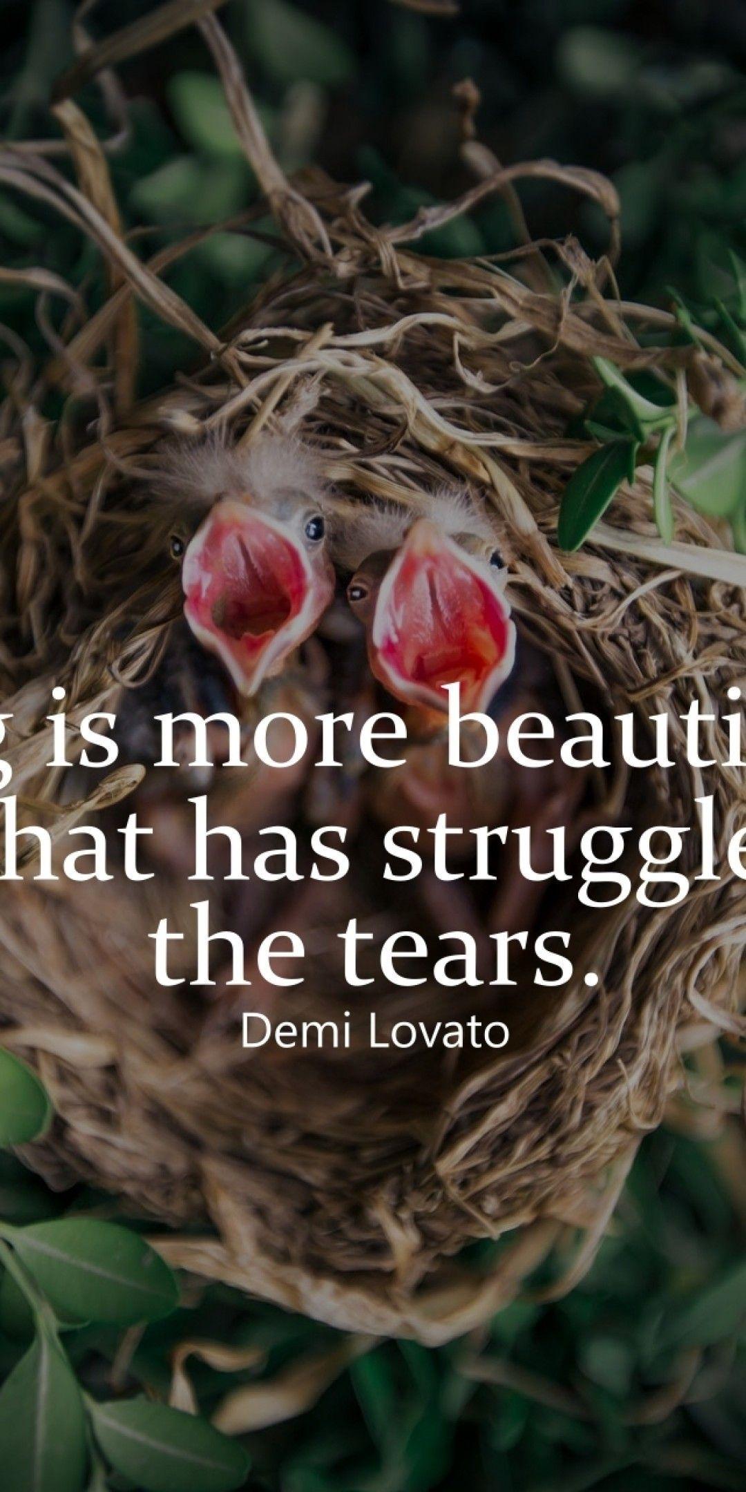 1080x2160 Download 1080x2160 Demi Lovato Quote, Birds Wallpaper for Huawei Mate 10