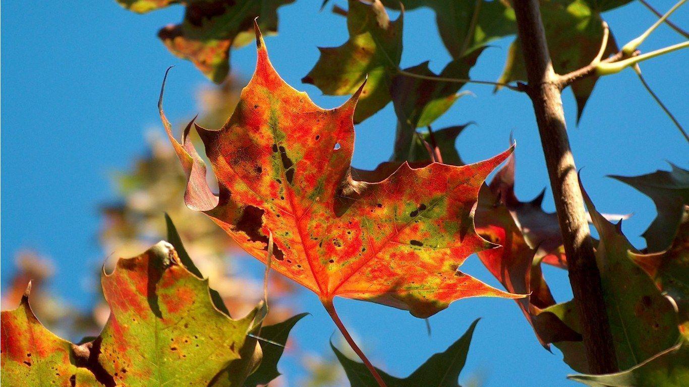 1366x768 HD Thanksgiving Wallpaper