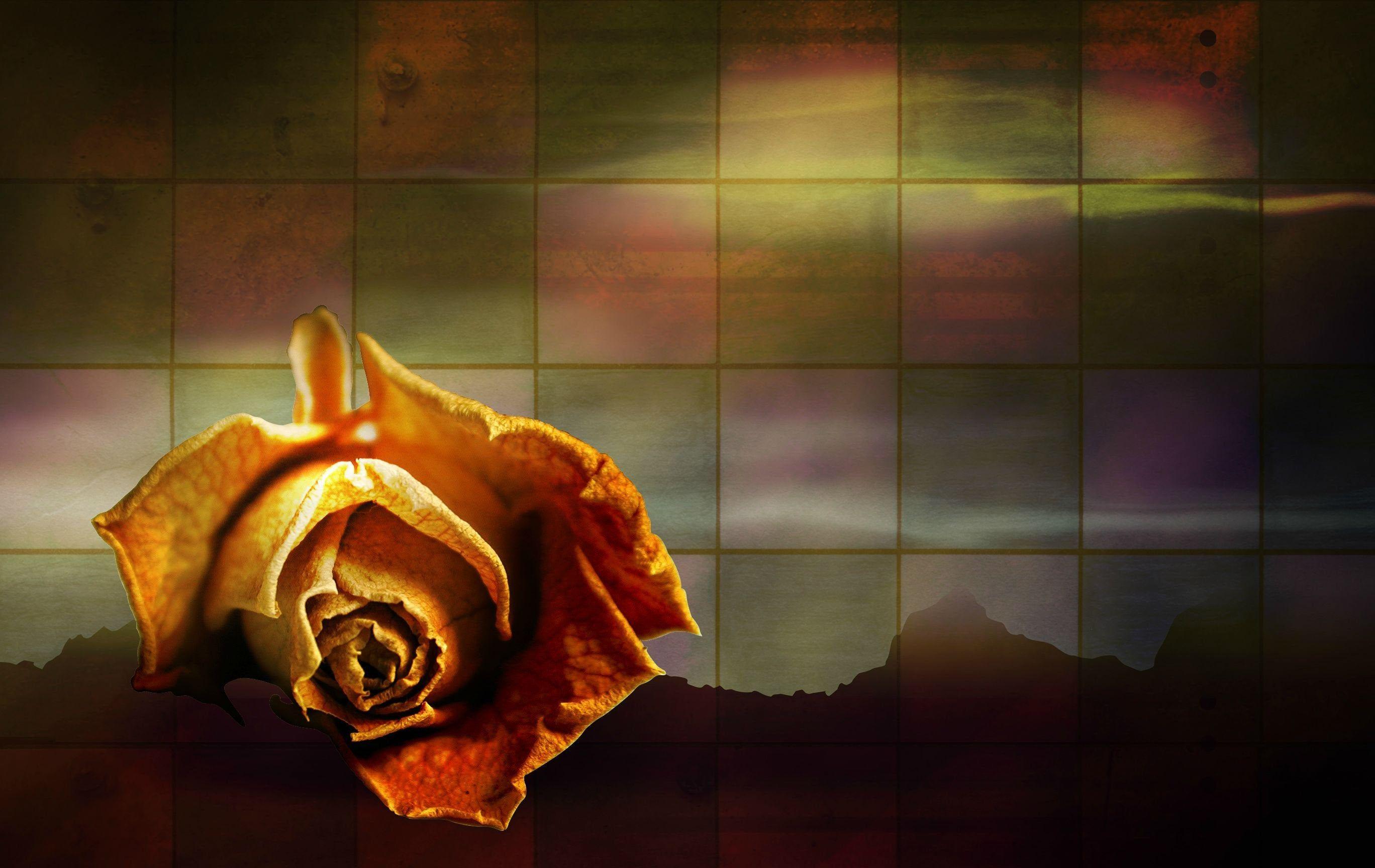 2736x1728 Divorce