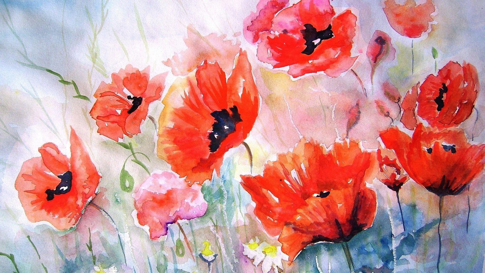 1920x1080 Nature Beautiful Painting Pretty Awesome Poppies Watercolor Flowers Artwork Red Desktop Wallpaper Flower Picture
