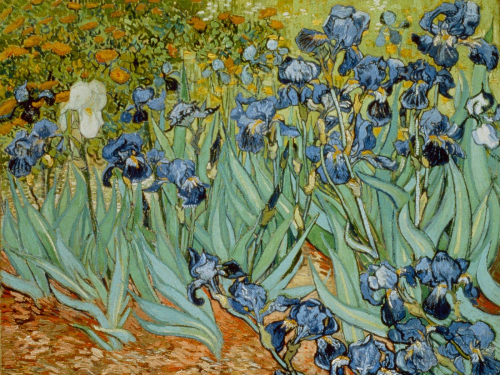 1600x1200 Vista flowers painting wallpaper. Vista flowers painting