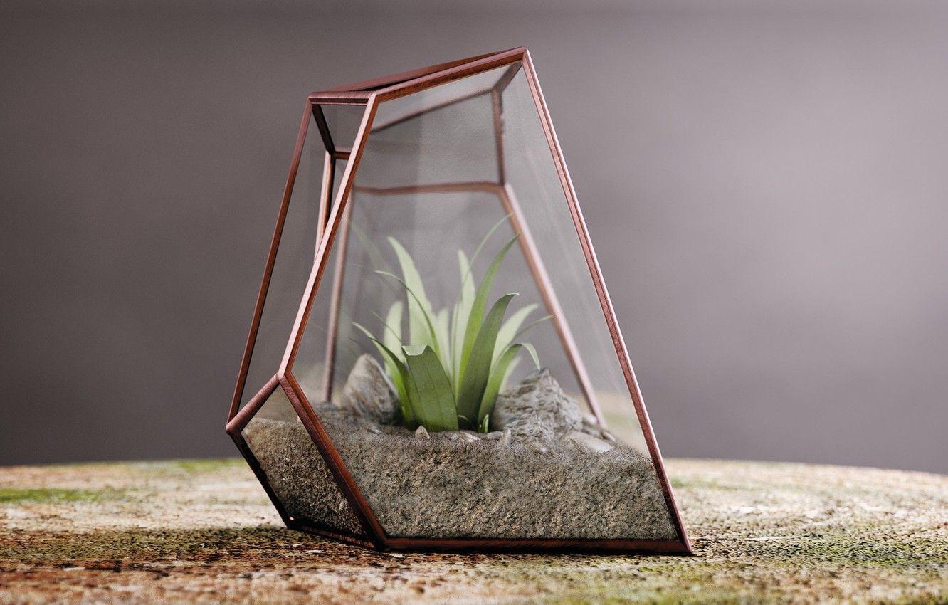 Terrarium Wallpapers Top Free Terrarium Backgrounds WallpaperAccess