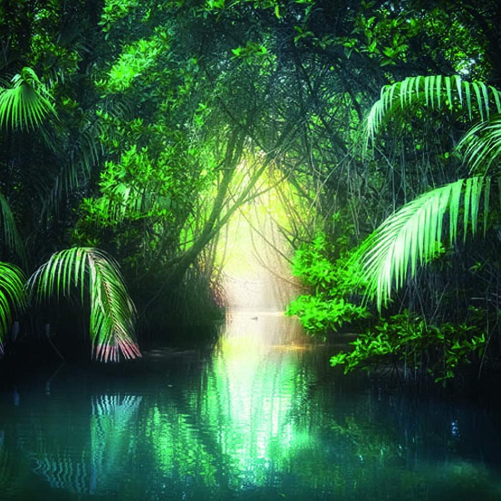 Terrarium Wallpapers Top Free Terrarium Backgrounds WallpaperAccess