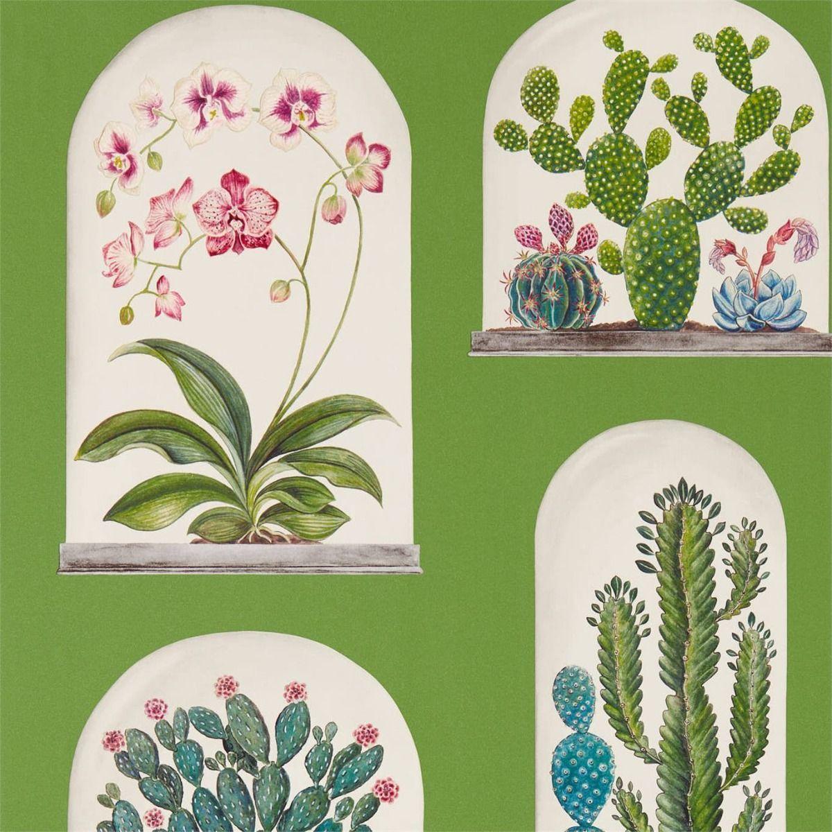 1200x1200 Sanderson Wallpaper Terrariums Botanical Green