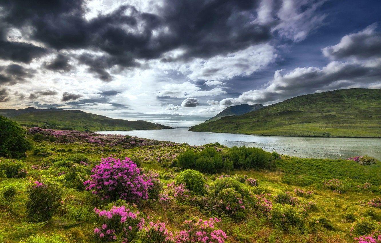 1332x850 Wallpaper greens, the sky, grass, clouds, flowers, mountains, river, hills, shore, Ireland, the bushes, Galway, Derrynasliggaun image for desktop, section пейзажи