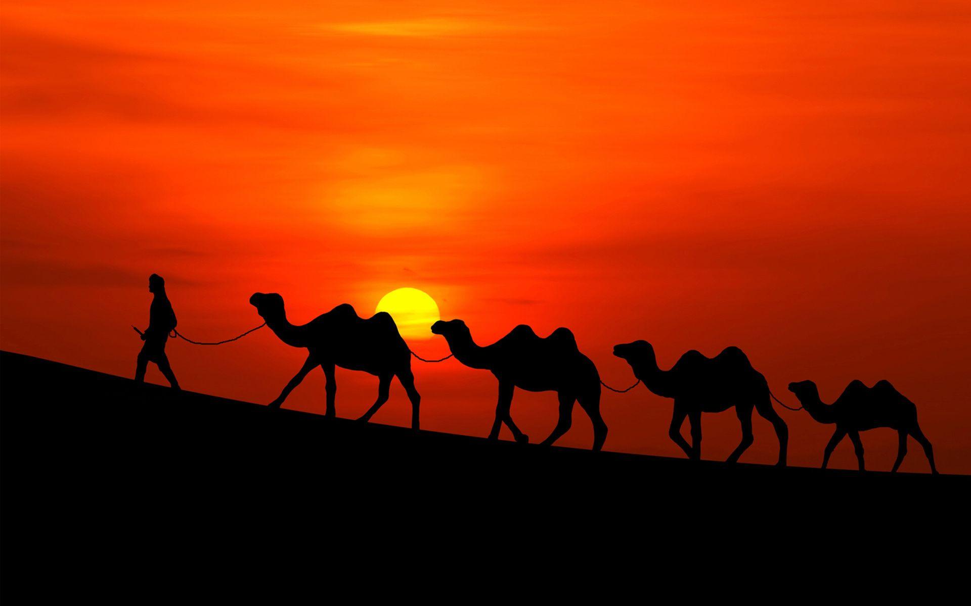 Arabian Desktop Wallpapers - Top Free Arabian Desktop Backgrounds ...