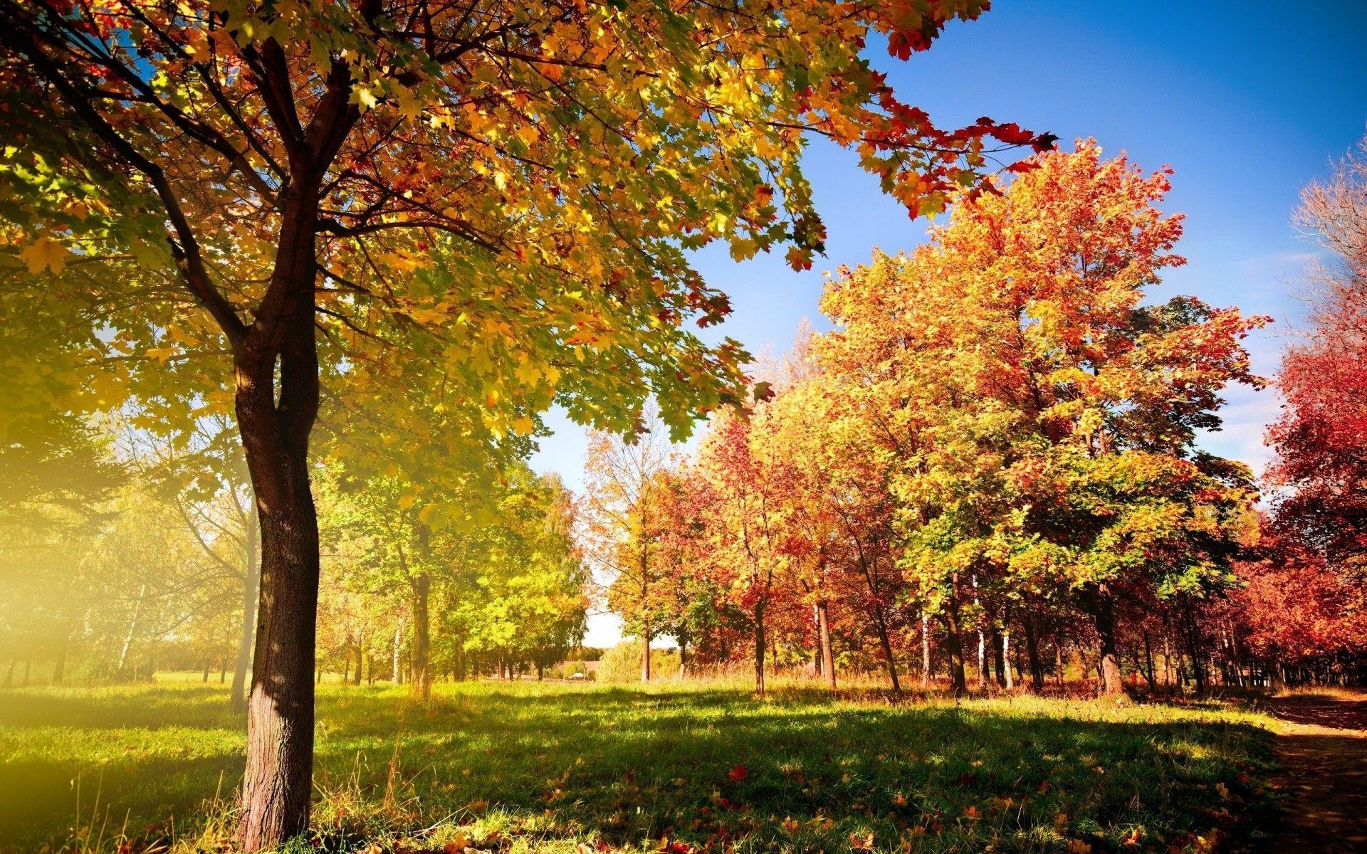1920x1200 Colorful Autumn Landscape