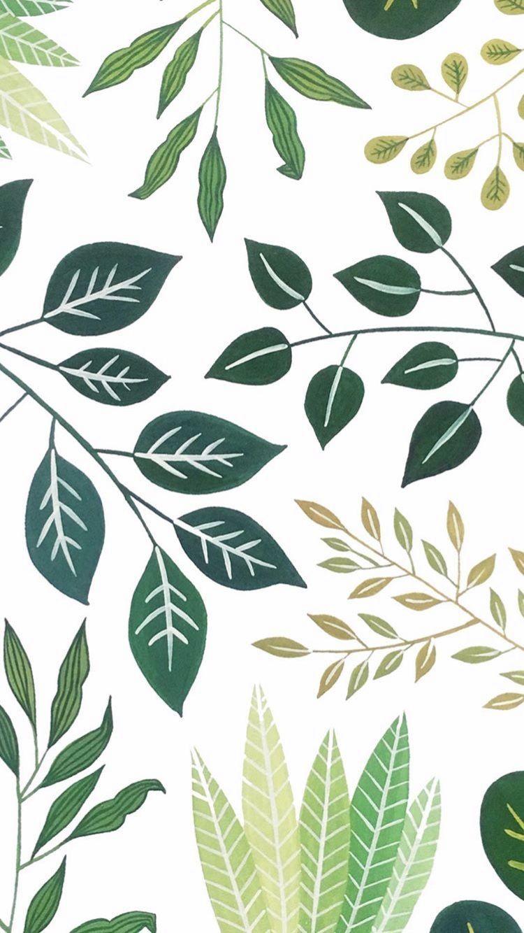 750x1334 The palms. Plant wallpaper, Aesthetic iphone wallpaper, Plant aesthetic