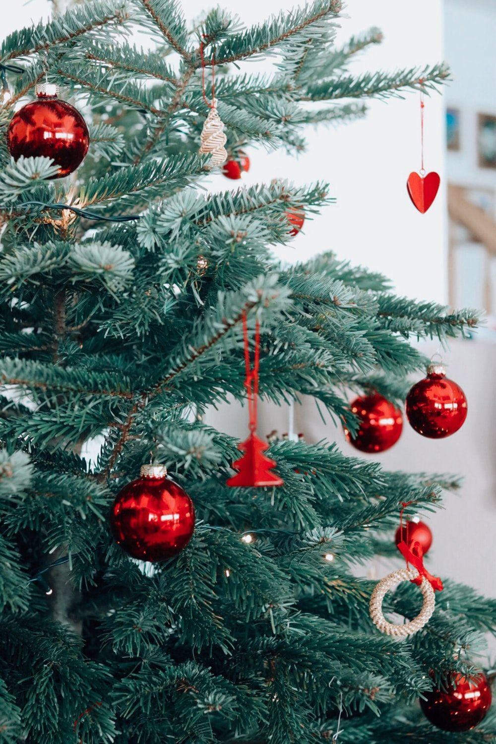 1000x1500 Ornament Picture [HD]. Download Free Image