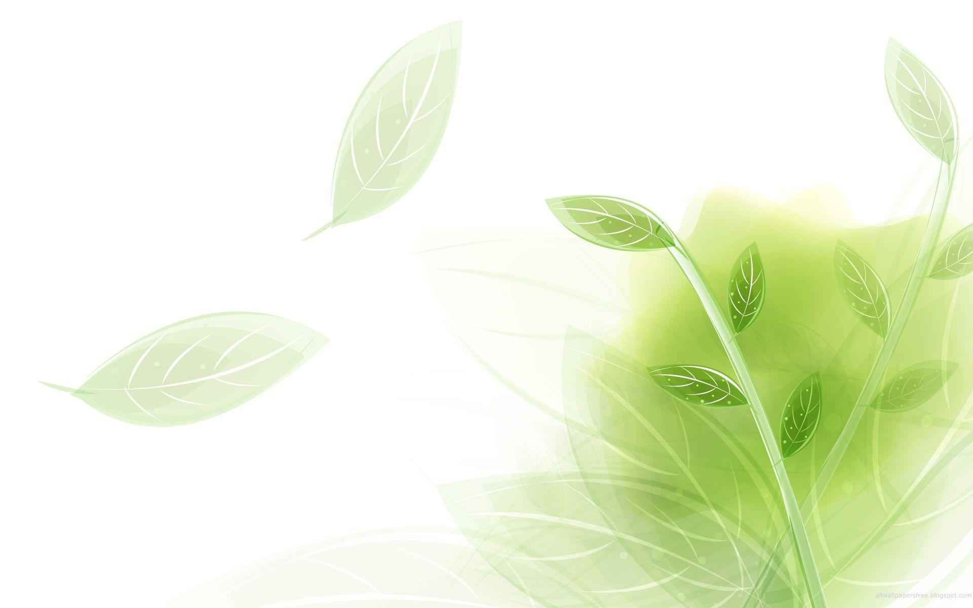 Light Green Nature Wallpapers - Top Free Light Green Nature Backgrounds