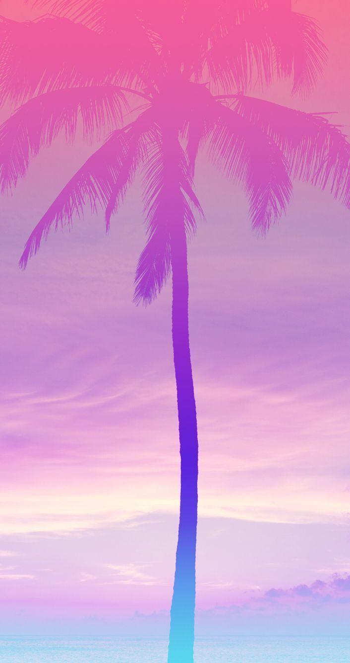Pink Palm Tree Wallpapers Top Free Pink Palm Tree Backgrounds