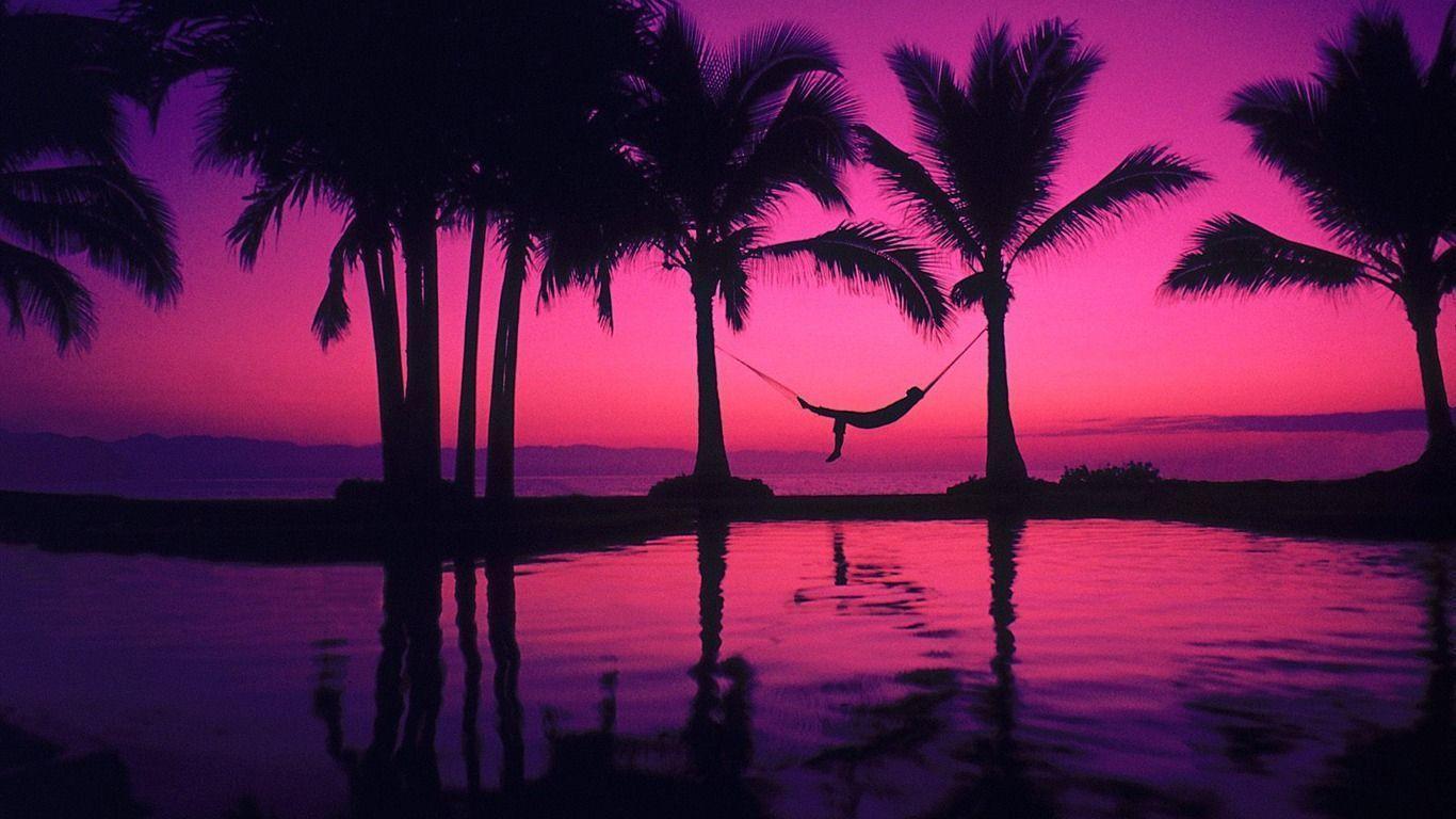 1366x768 Sunset Palm Tree Wallpaper