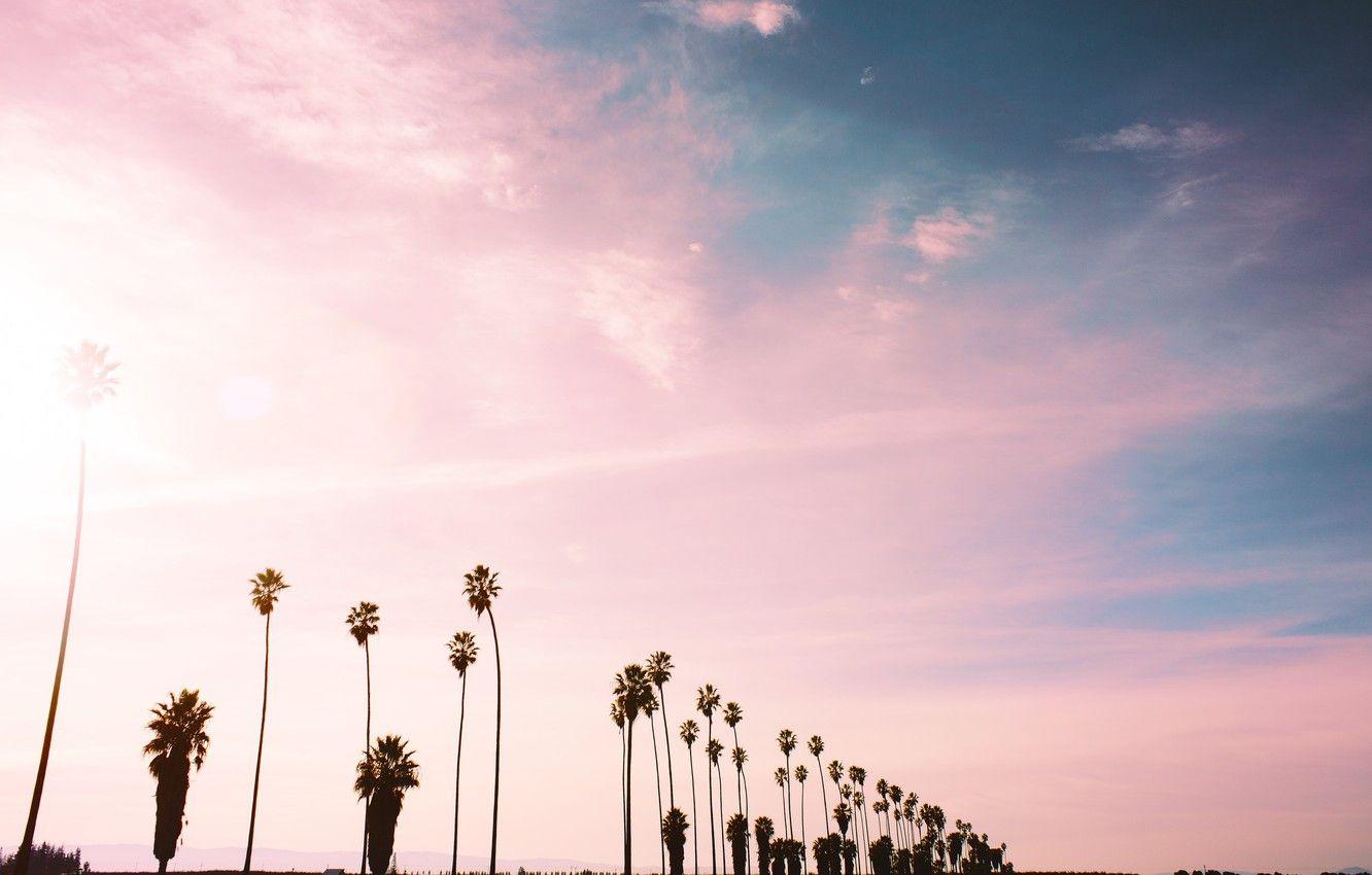 1332x850 Wallpaper the sky, clouds, palm trees, pink image for desktop, section пейзажи