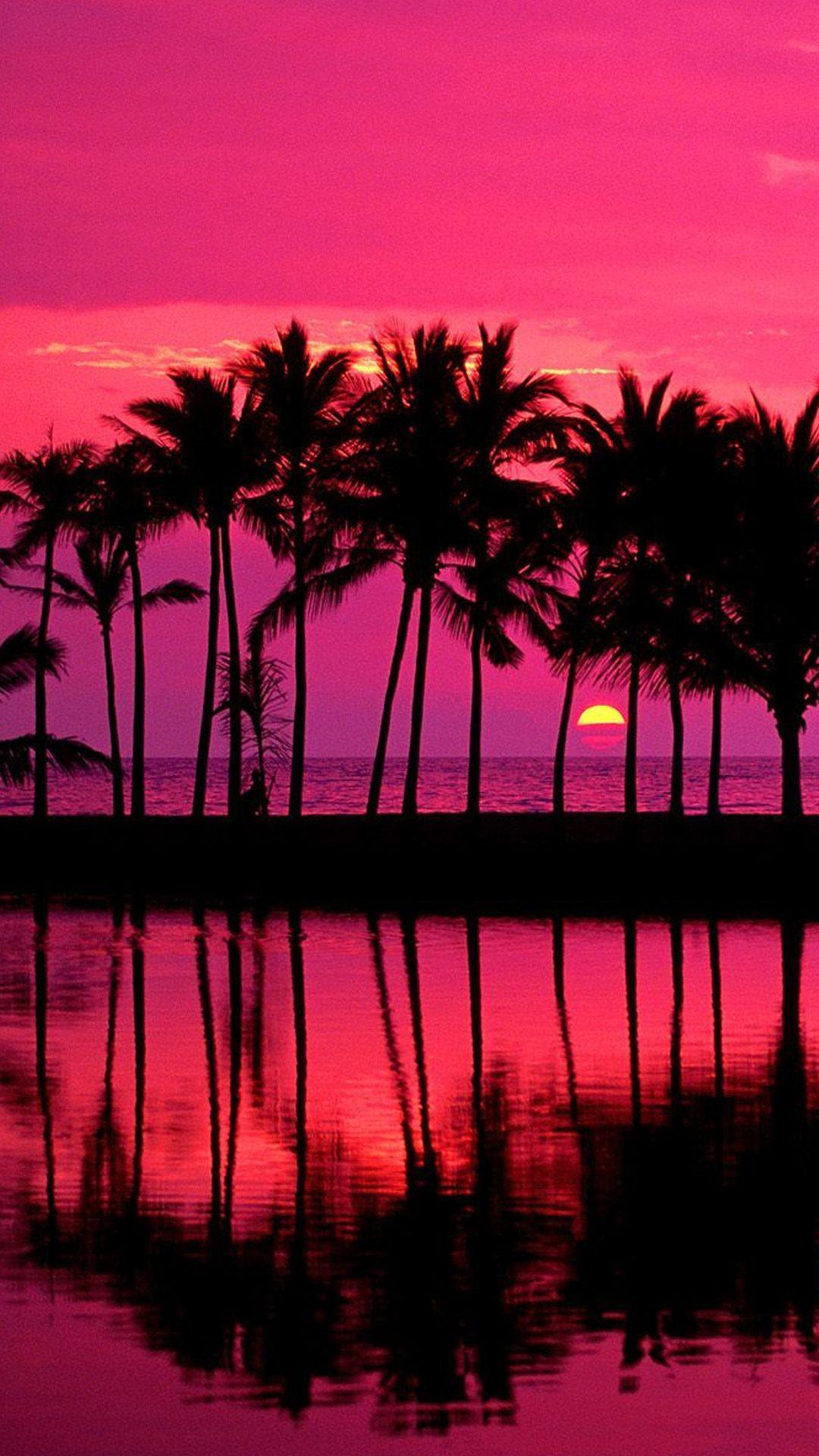 1080x1920 Pink Palm Tree Sunset iPhone Wallpaper