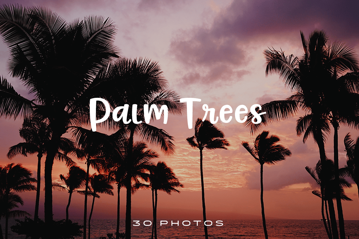 1160x772 pink palm tree wallpaper