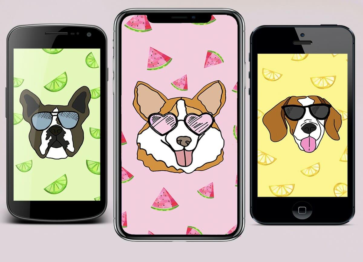 1200x864 Bright & Fun Summer Puppy Wallpaper for Your Phone's Notes