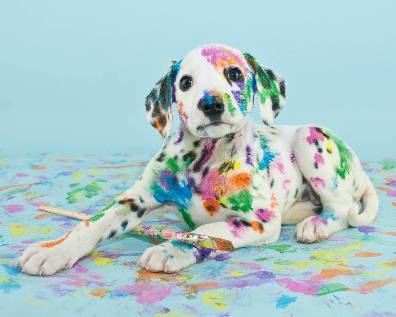 1280x1024 Awesome Puppy Free Wallpaper Id Famous Dog Paintings Wallpaper & Background Download