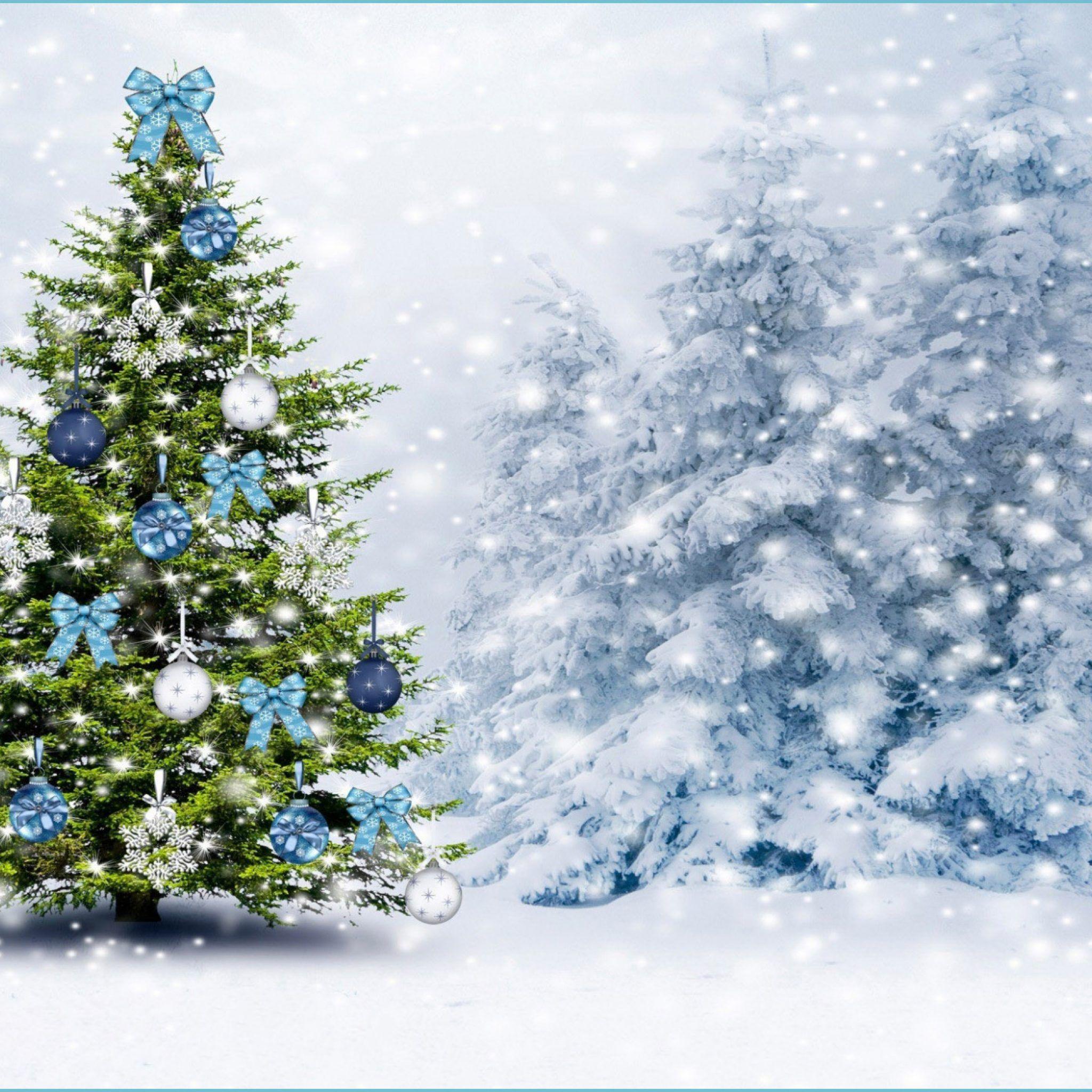 Hãy đón Giáng sinh với những bức ảnh nền thiên nhiên trắng phủ tuyết và chiếc cây thông Noel lung linh này. Hình ảnh tuyết phủ trên cây thông Noel mang lại cảm giác yên bình và ần tượng, đem đến cho bạn một mùa giáng sinh đáng nhớ.