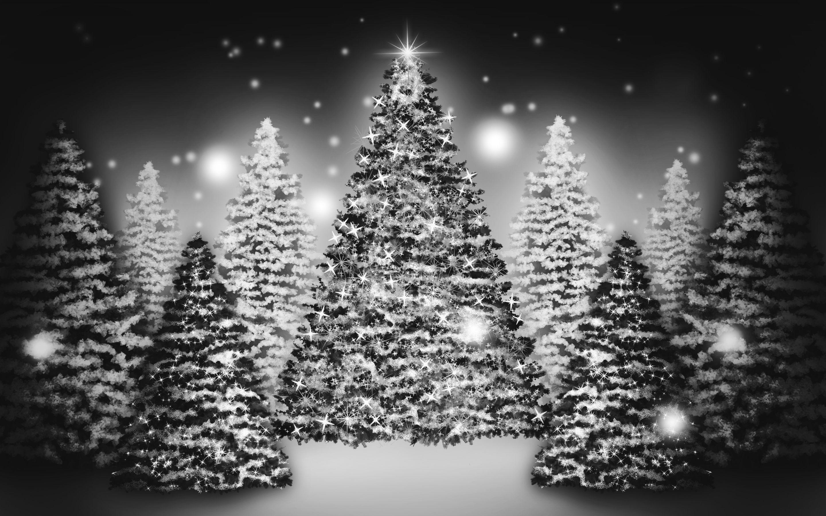 2880x1800 Snowy Christmas Tree Wallpaper