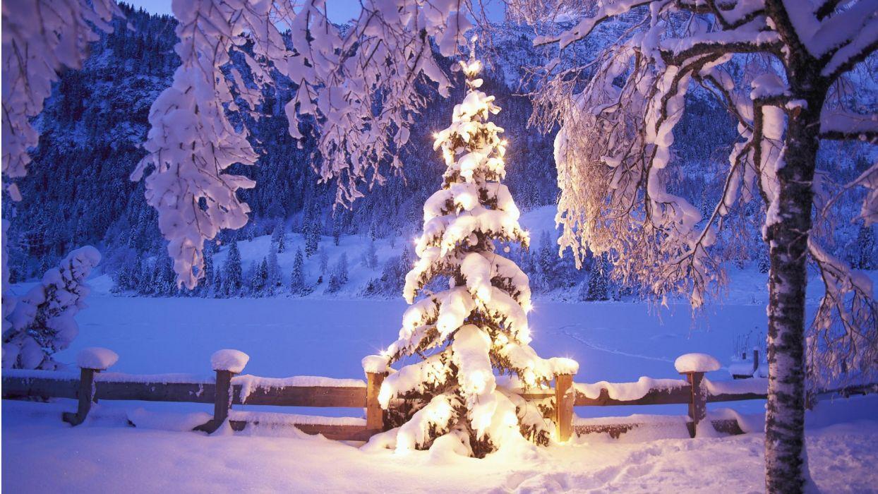 1244x700 Winter snow Christmas trees wallpaperx1080