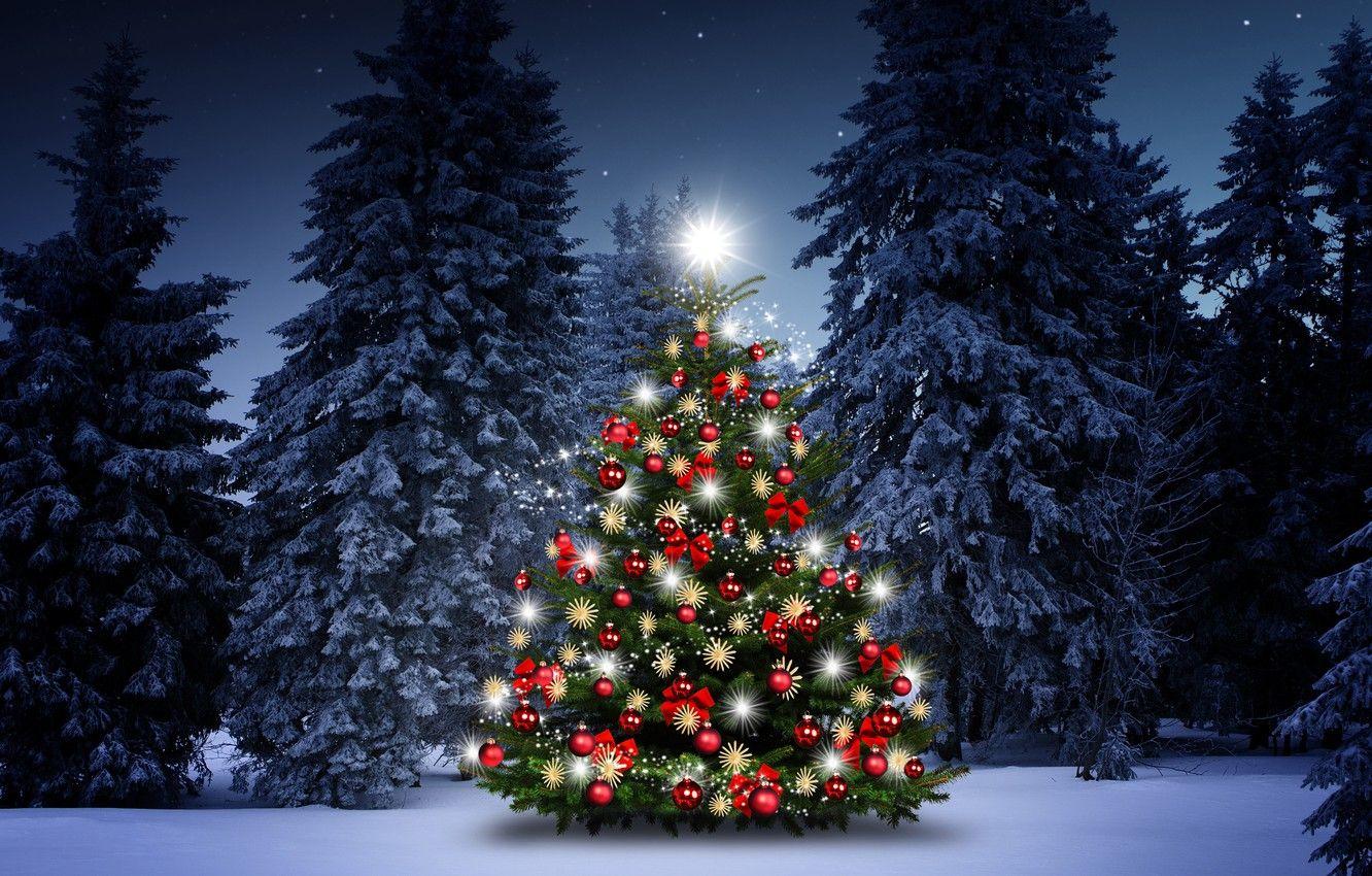 Snowy Christmas Tree Wallpapers - Top Free Snowy Christmas Tree ...