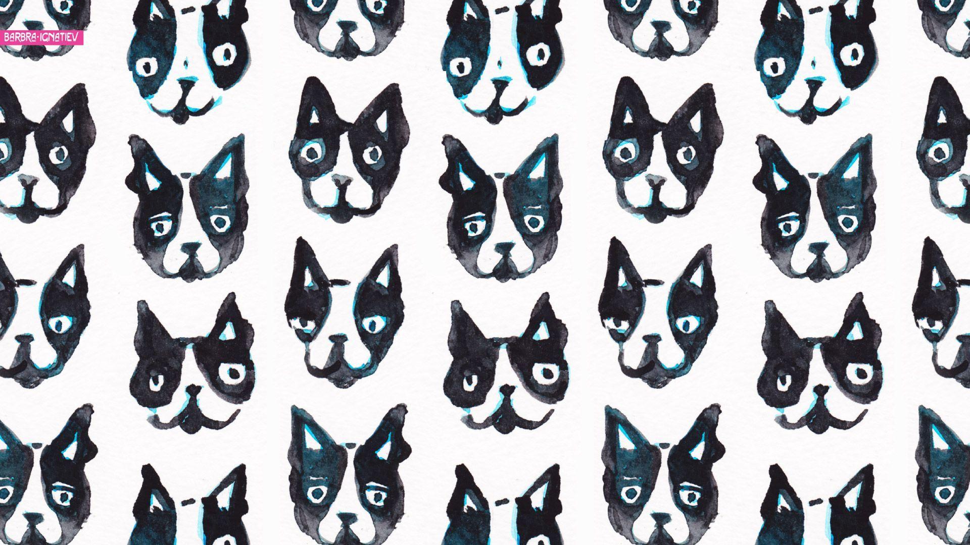1920x1080 Boston Terrier Dogs FREE Picture