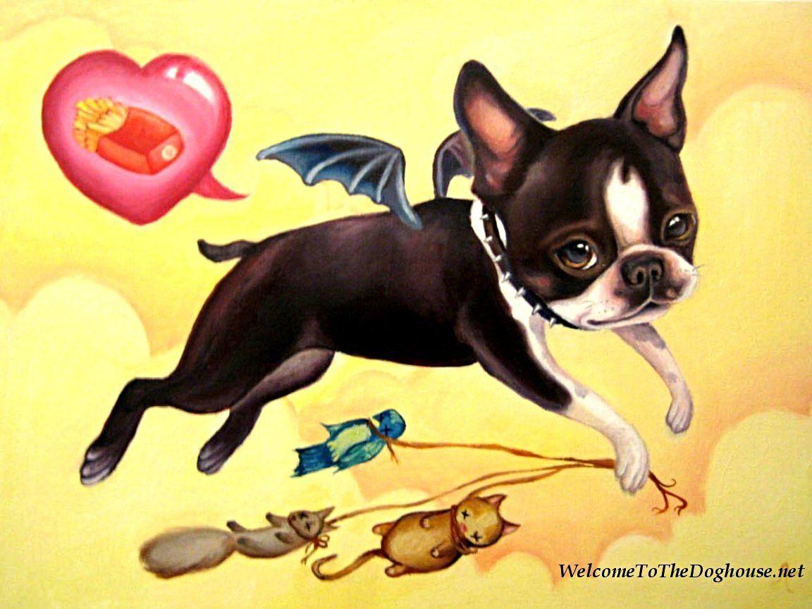 1152x864 Boston Terrier Desktop Wallpaper