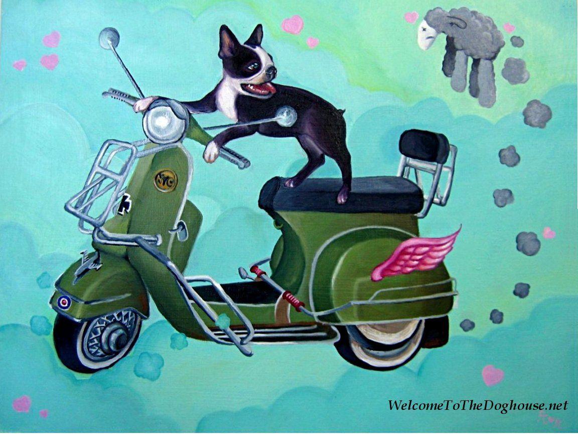 1152x864 Boston Terrier Desktop Background. Beautiful Widescreen Desktop Wallpaper, Desktop Wallpaper and Naruto Desktop Background