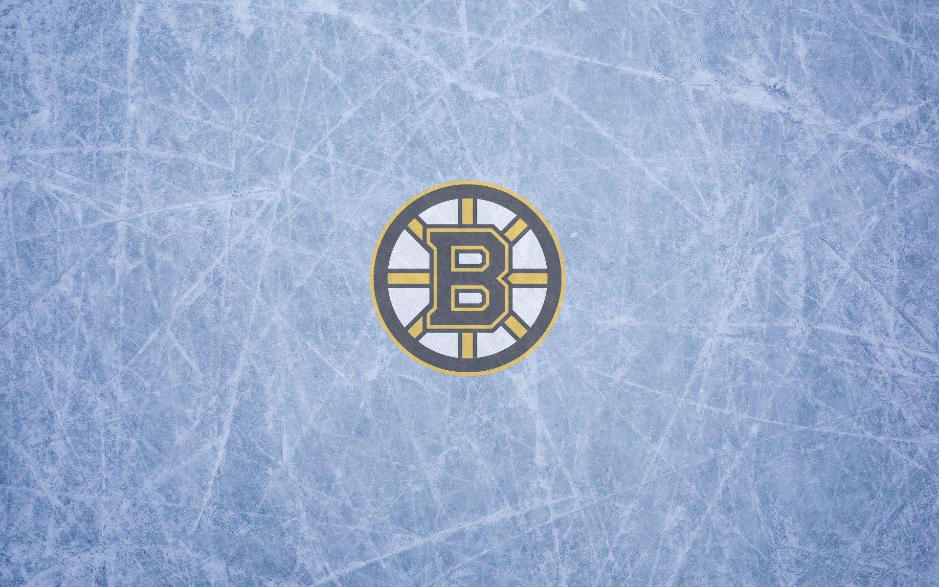 Download Boston Bruins Logo Polka Dot Wallpaper