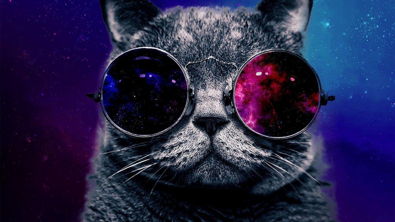 1366x768 Free Space Cat Wallpaper Free