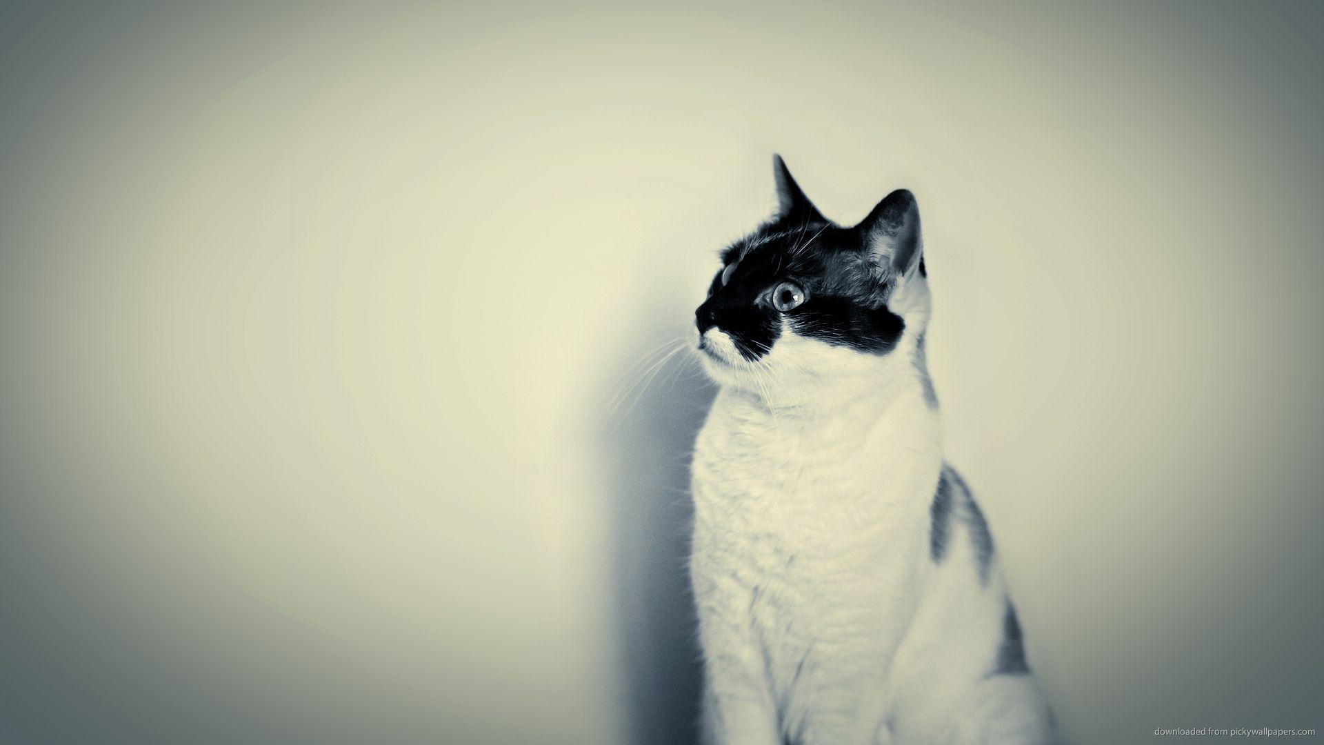 1920x1080 Hipster wallpaperx1080