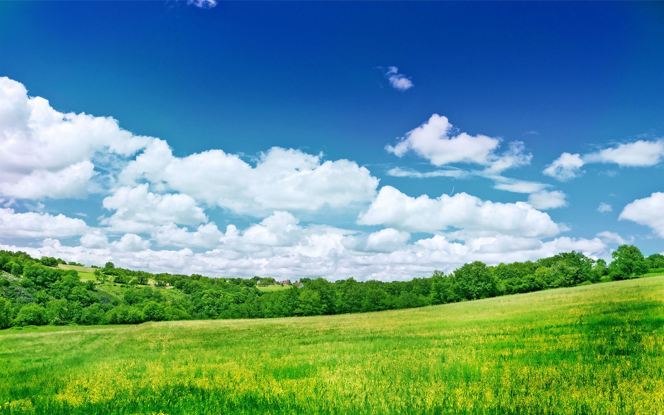 Field Sky Wallpapers - Top Free Field Sky Backgrounds - WallpaperAccess