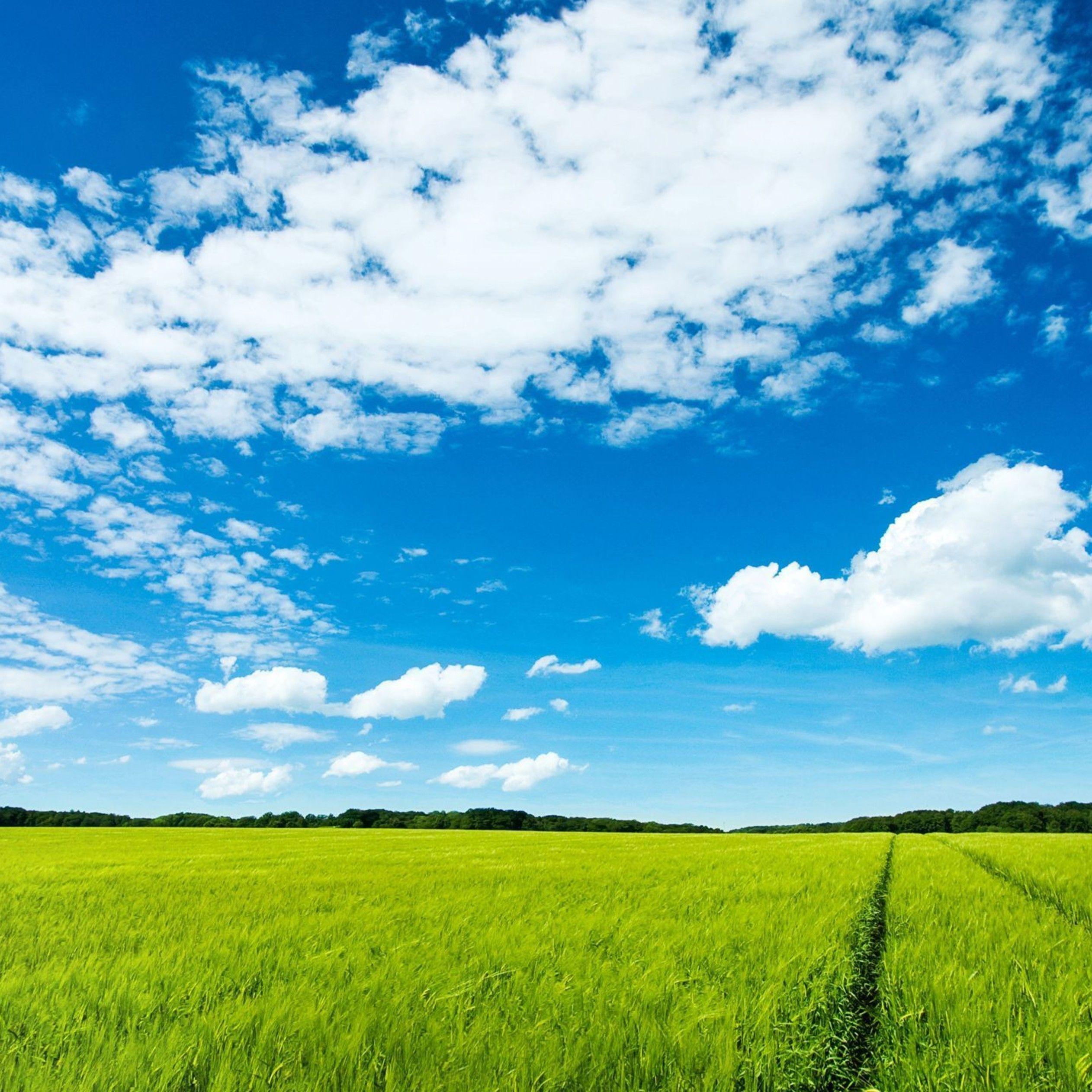 Field Sky Wallpapers Top Free Field Sky Backgrounds WallpaperAccess