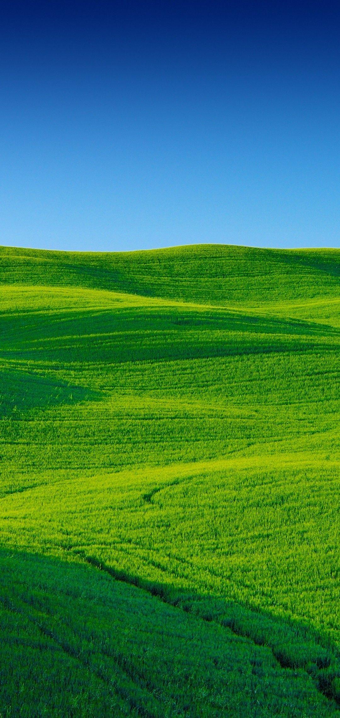 1080x2280 Download 1080x2280 Green Landscape, Field, Sky Wallpaper for Samsung Galaxy S10e, Xiaomi Mi A2 Lite, OnePlus 6