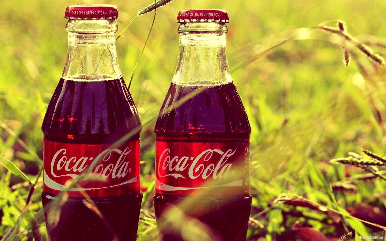 1600x1000 bottles, grass, drink, Coca Cola, plant, produce, land plant, flowering plant, soft drink, carbonated soft drinks, cola. Mocah.org HD Desktop Wallpaper