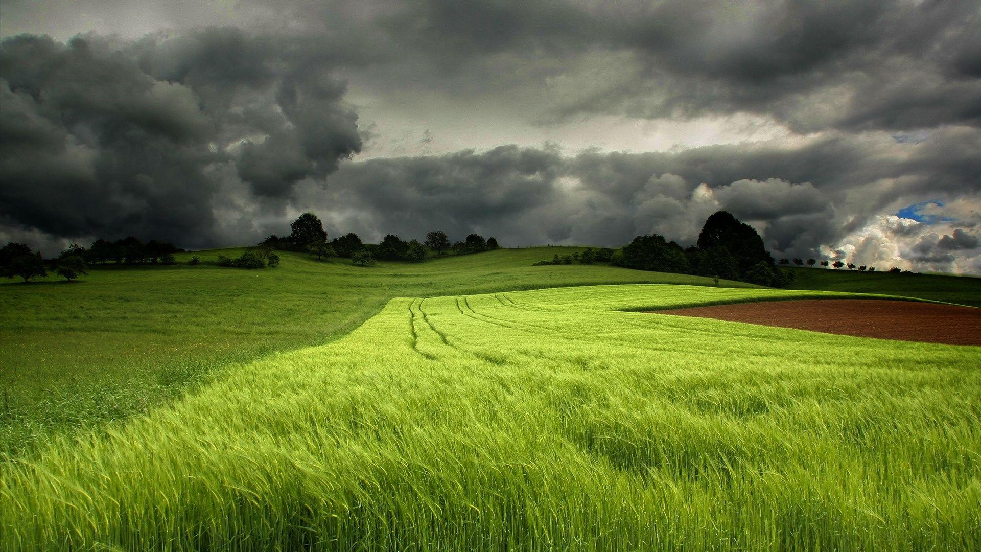 1920x1080 green fields cloudy sky Wallpaper, Desktop Wallpaper, Free Wallpaper 1281 - Cloudy Day On Green Field Wallpaper