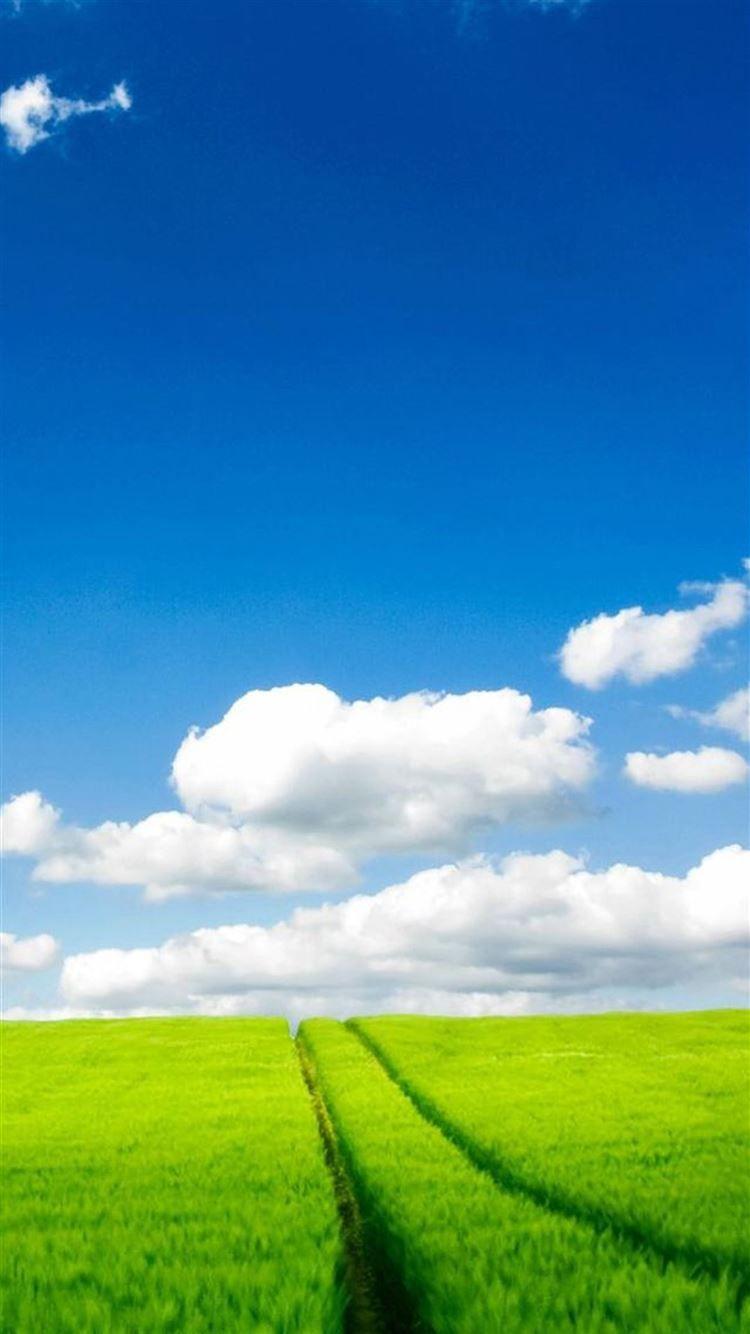 1080x1920 Nature Pure Field Sky Landscape iPhone 8 Wallpaper Free Download