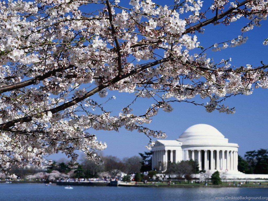 1024x768 Jefferson Memorial Washington Dc Wallpaper Desktop Background