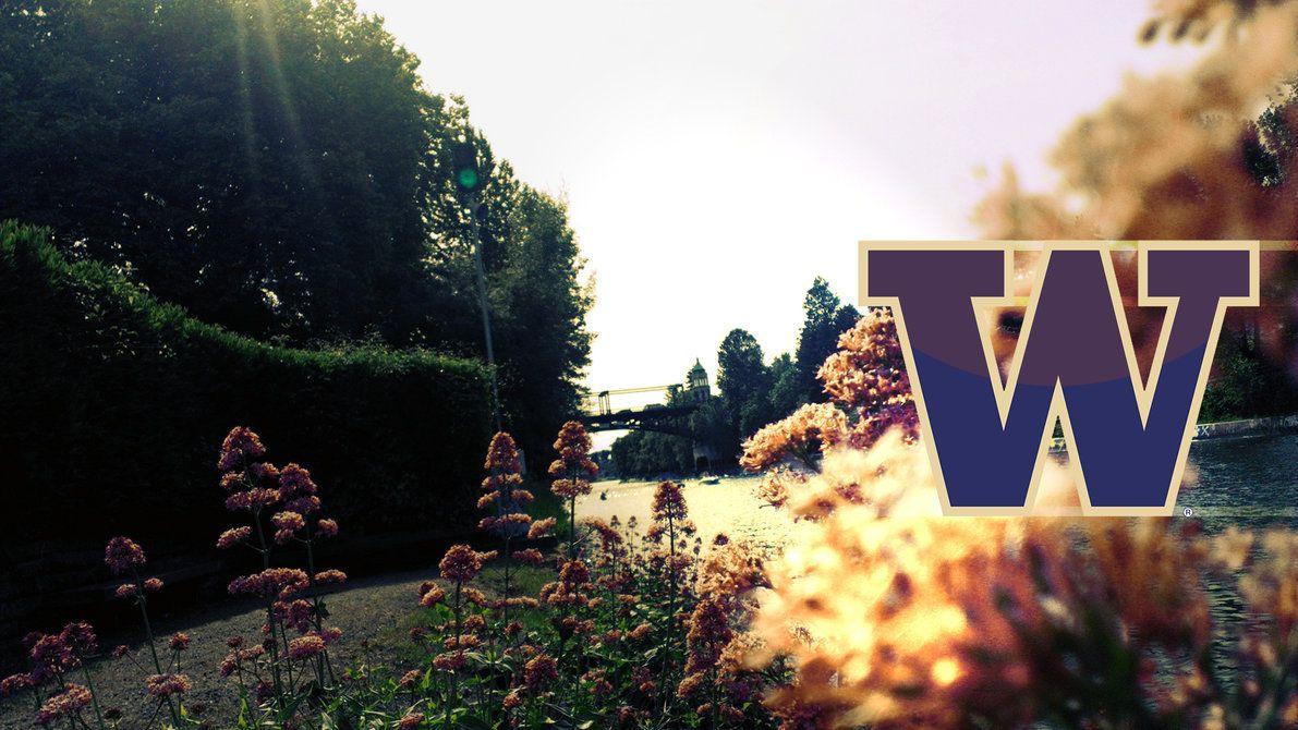 1191x670 University of Washington Wallpaper