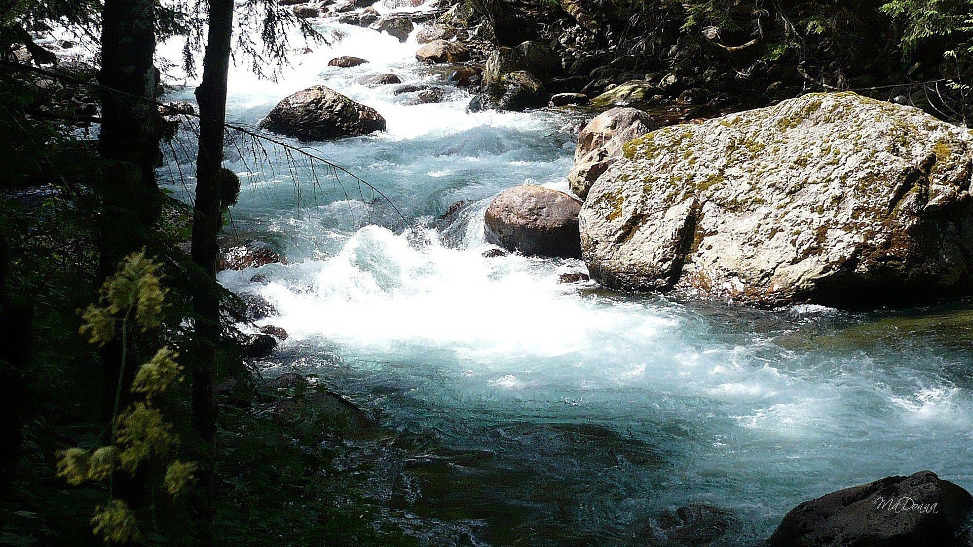 1920x1080 River Washington Mountains Water Forest Stilliguamish Fast White