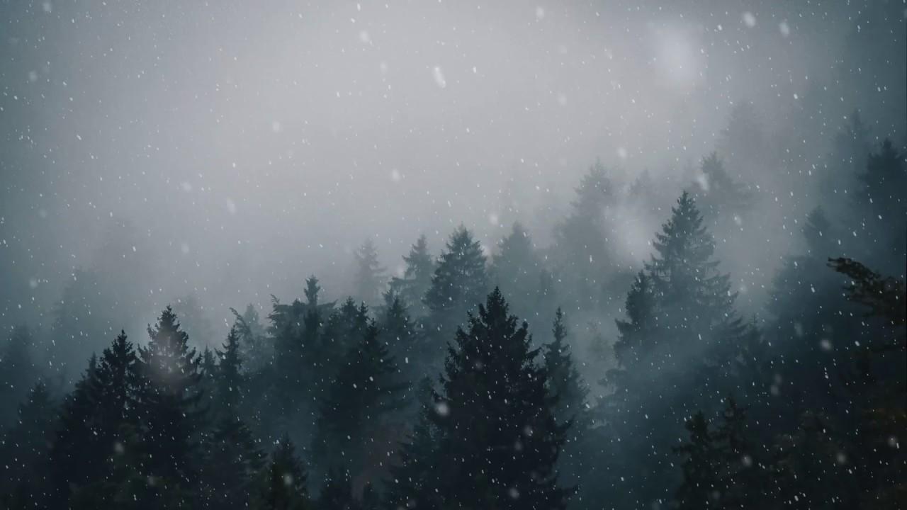 1280x720 Animated Forest Wallpaper