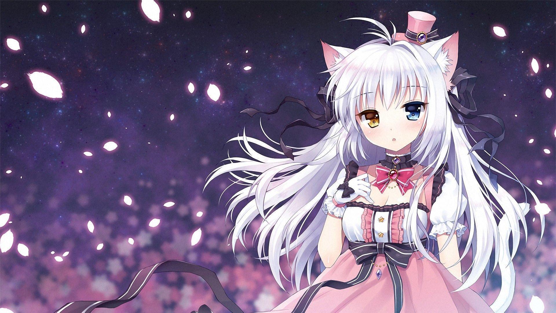 1920 X 1080 Anime Cat Girl Wallpapers - Top Free 1920 X 1080 Anime Cat Girl  Backgrounds - Wallpaperaccess