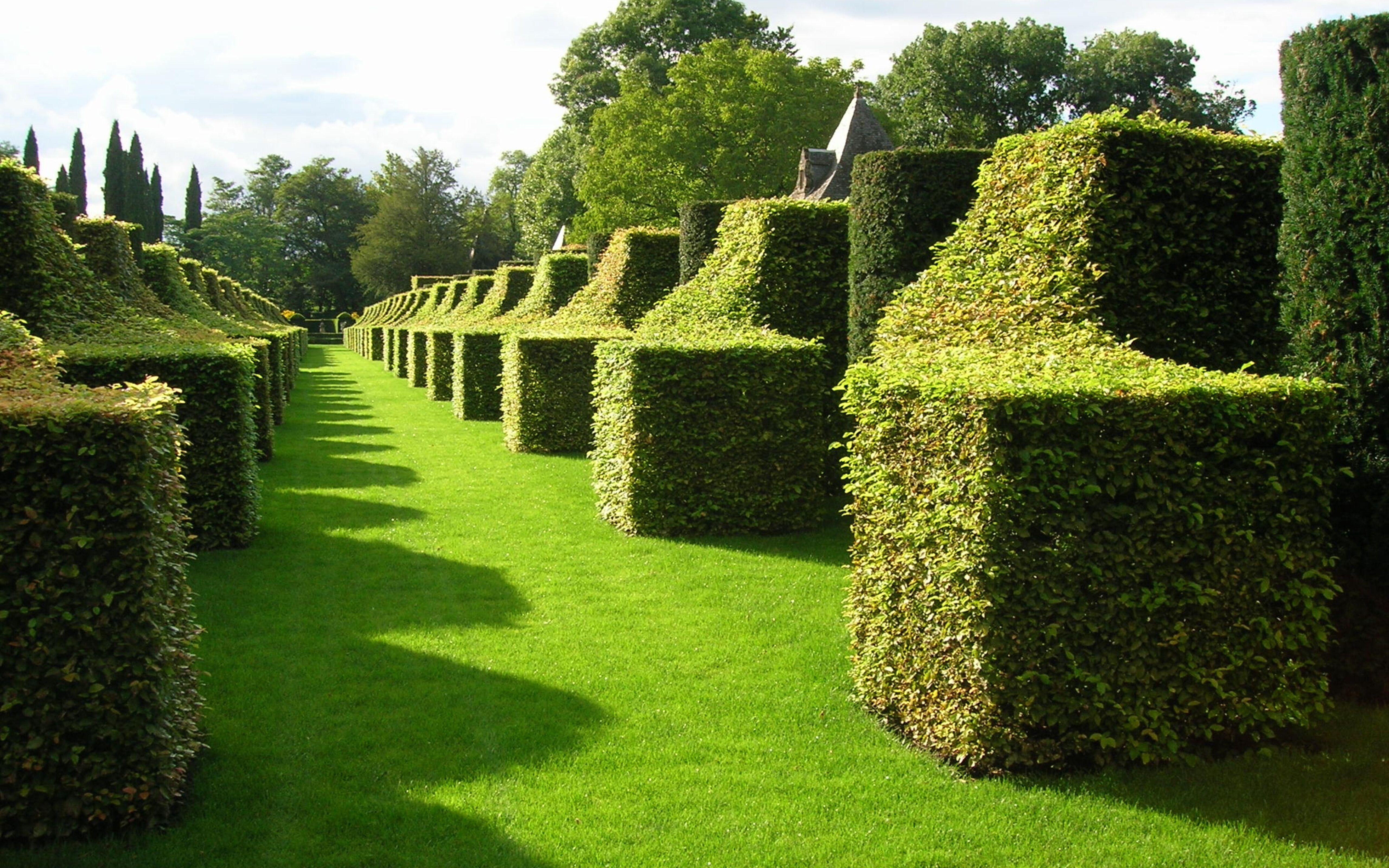 5120x3200 Awesome green french garden wallpaper