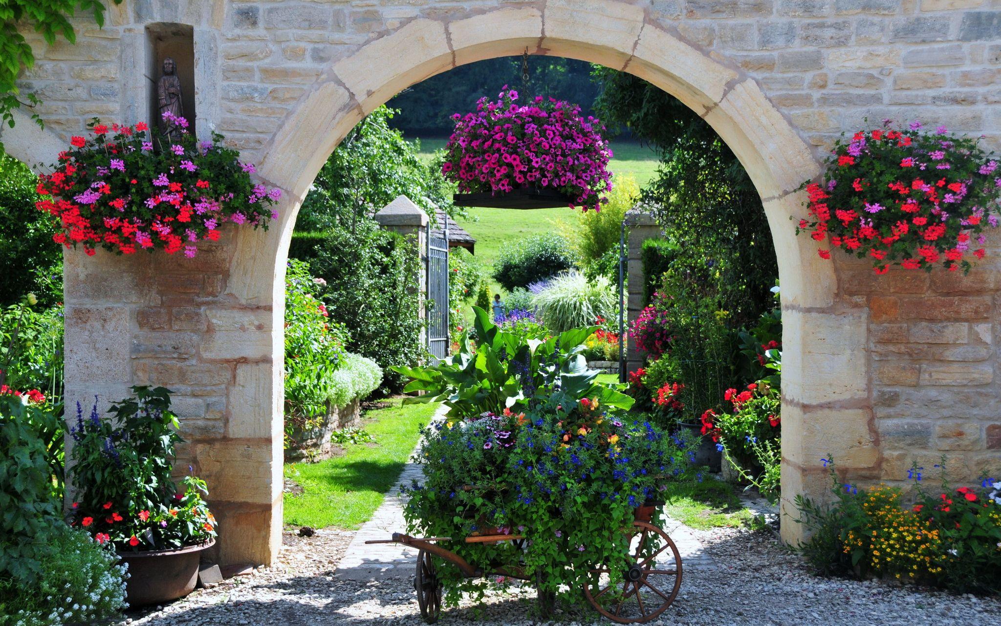 2048x1281 france, Gardens, Petunia, Geranium, Nature Wallpaper HD / Desktop and Mobile Background
