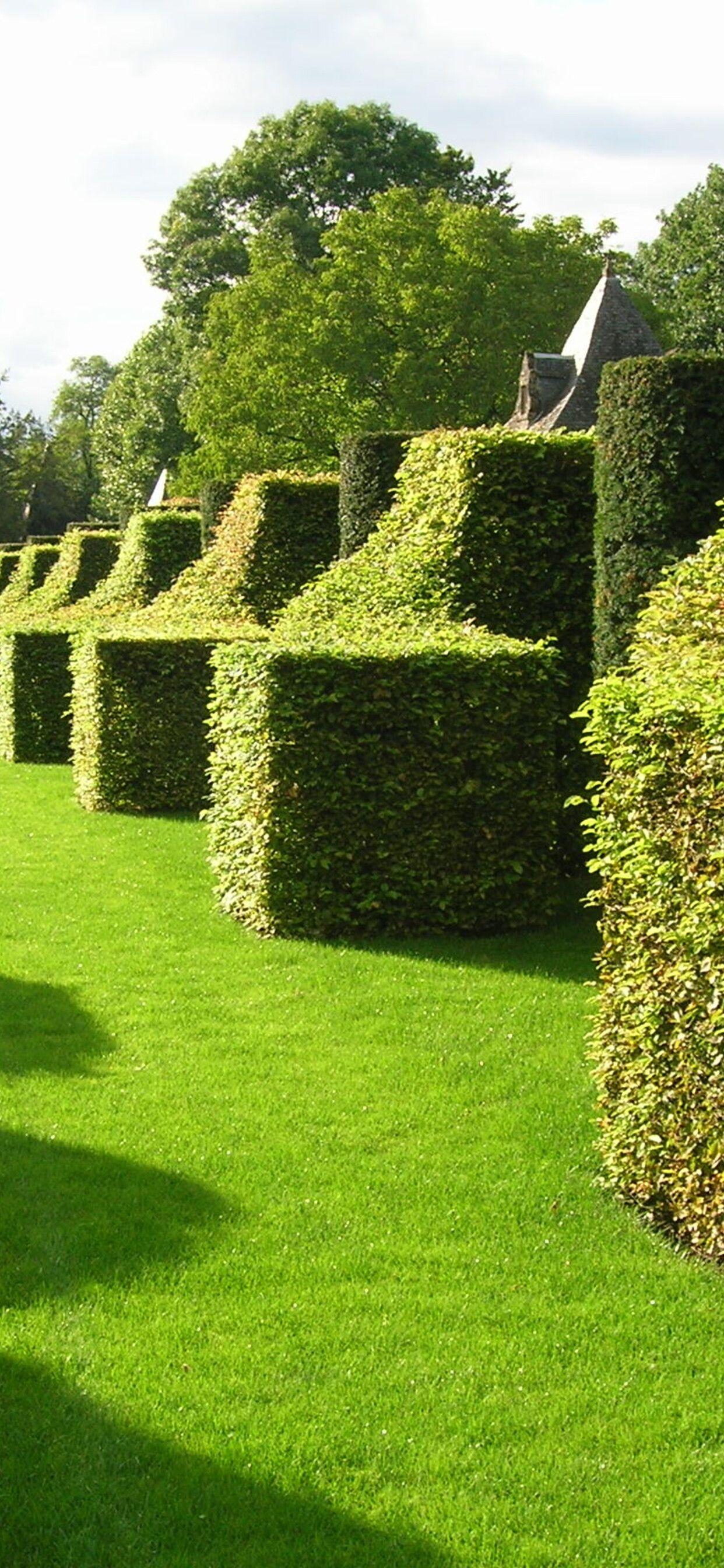 1242x2688 Awesome green french garden wallpaper