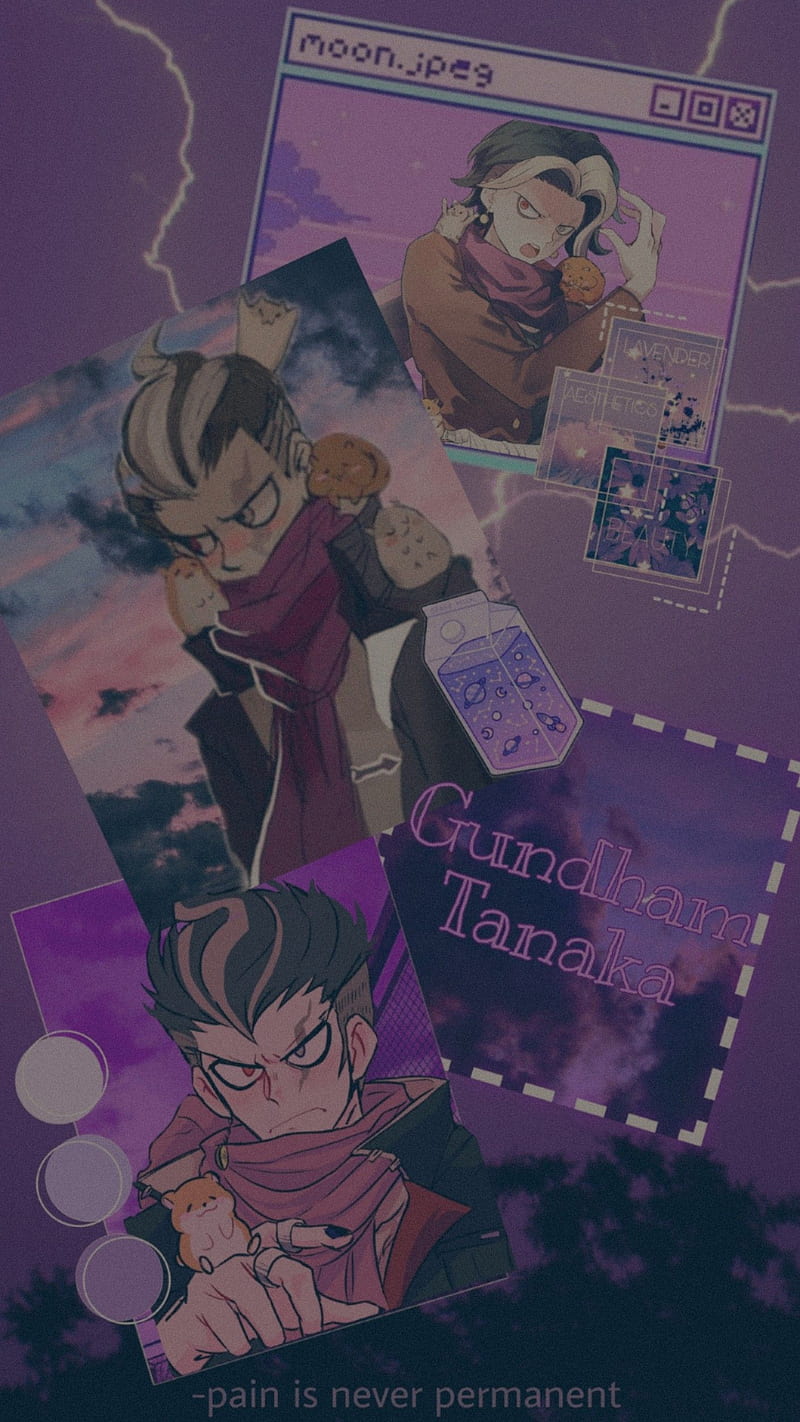 800x1422 Gundham tanaka, danganronpa v gundam tanaka, HD phone wallpaper